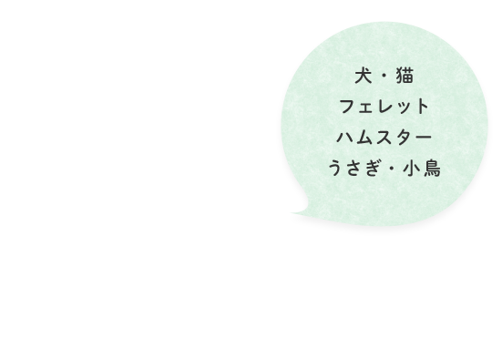 犬・猫・フェレット・ハムスター・うさぎ・小鳥