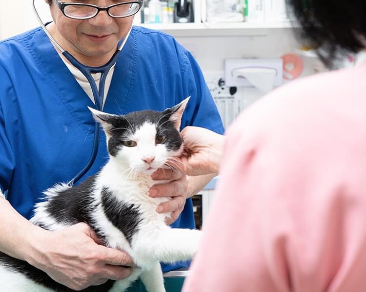 日頃の健康診断からいざという時の処置まで幅広くお悩みにお応えしています。