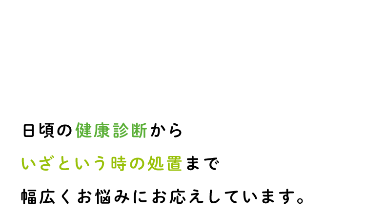 日頃の健康診断からいざという時の処置まで幅広くお悩みにお応えしています。