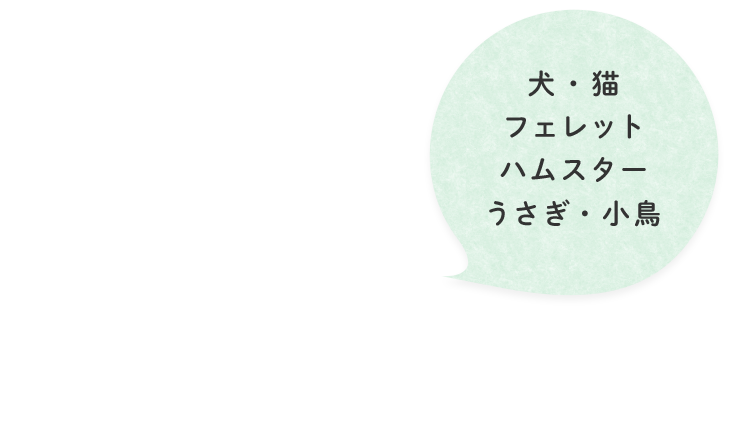 犬・猫・フェレット・ハムスター・うさぎ・小鳥